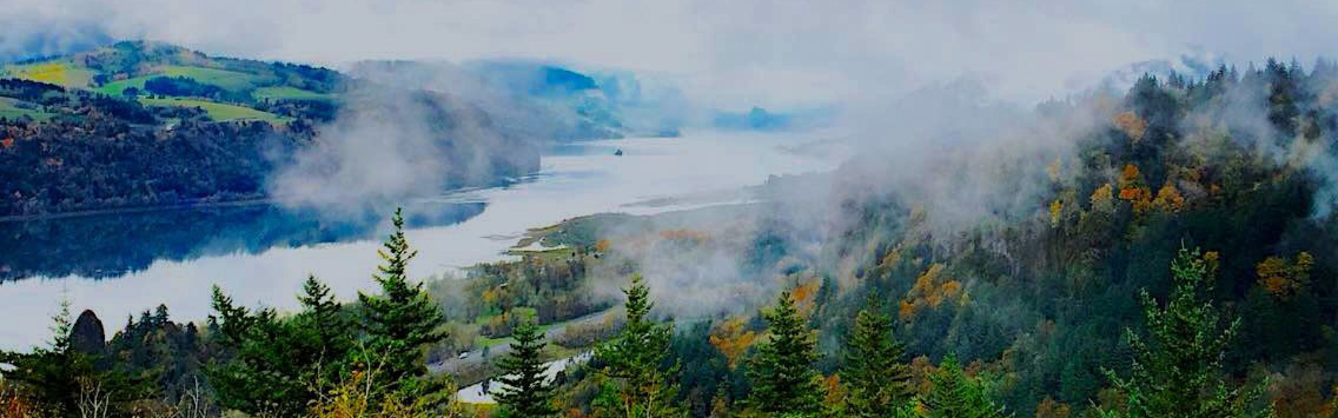 Columbia River Gorge From Crown Point