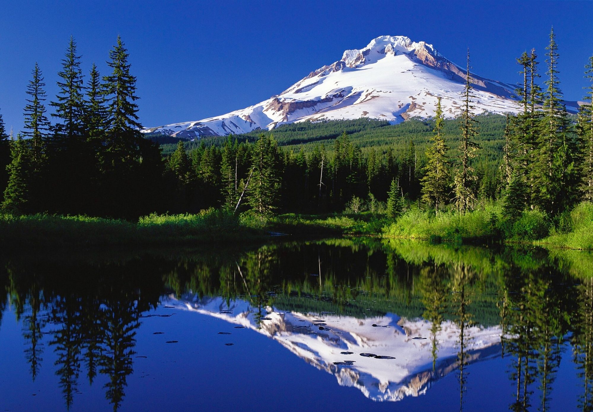 Picture of MT Hood with reflection