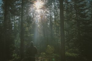 Hiking in the woods